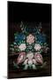 Decorative Painting on Shutter, Alsace-By-Mounted Photographic Print