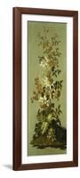 Decorative Panels with Flowers-Jean Baptiste Pillement-Framed Premium Giclee Print