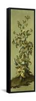 Decorative Panels with Flowers-Jean Baptiste Pillement-Framed Stretched Canvas