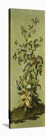 Decorative Panels with Flowers-Jean Baptiste Pillement-Stretched Canvas