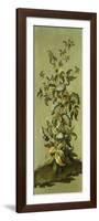 Decorative Panels with Flowers-Jean Baptiste Pillement-Framed Giclee Print