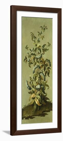 Decorative Panels with Flowers-Jean Baptiste Pillement-Framed Premium Giclee Print