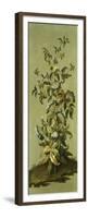 Decorative Panels with Flowers-Jean Baptiste Pillement-Framed Premium Giclee Print