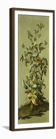 Decorative Panels with Flowers-Jean Baptiste Pillement-Framed Premium Giclee Print