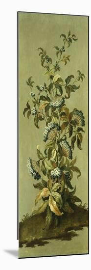 Decorative Panels with Flowers-Jean Baptiste Pillement-Mounted Premium Giclee Print
