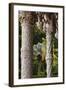 Decorative Pillars-null-Framed Photographic Print