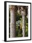 Decorative Pillars-null-Framed Photographic Print