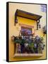 Decorative Pots on Window Balcony, Guanajuato, Mexico-Julie Eggers-Framed Stretched Canvas