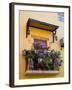 Decorative Pots on Window Balcony, Guanajuato, Mexico-Julie Eggers-Framed Premium Photographic Print