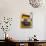 Decorative Pots on Window Balcony, Guanajuato, Mexico-Julie Eggers-Photographic Print displayed on a wall