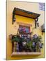 Decorative Pots on Window Balcony, Guanajuato, Mexico-Julie Eggers-Mounted Photographic Print