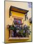 Decorative Pots on Window Balcony, Guanajuato, Mexico-Julie Eggers-Mounted Photographic Print