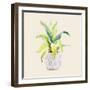 Decorative Potted Plant I-Lanie Loreth-Framed Art Print