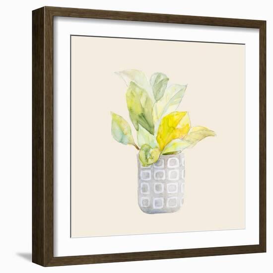 Decorative Potted Plant II-Lanie Loreth-Framed Art Print