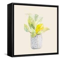 Decorative Potted Plant II-Lanie Loreth-Framed Stretched Canvas