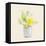 Decorative Potted Plant II-Lanie Loreth-Framed Stretched Canvas