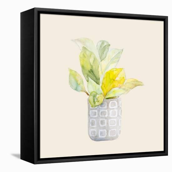 Decorative Potted Plant II-Lanie Loreth-Framed Stretched Canvas