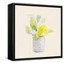 Decorative Potted Plant II-Lanie Loreth-Framed Stretched Canvas