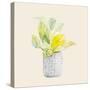 Decorative Potted Plant II-Lanie Loreth-Stretched Canvas