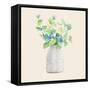Decorative Potted Plant III-Lanie Loreth-Framed Stretched Canvas