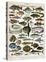 Decorative Print of 'Poissons' by Demoulin, 1897-null-Stretched Canvas