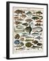 Decorative Print of 'Poissons' by Demoulin, 1897-null-Framed Giclee Print