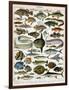 Decorative Print of 'Poissons' by Demoulin, 1897-null-Framed Premium Giclee Print