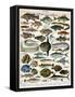 Decorative Print of 'Poissons' by Demoulin, 1897-null-Framed Stretched Canvas