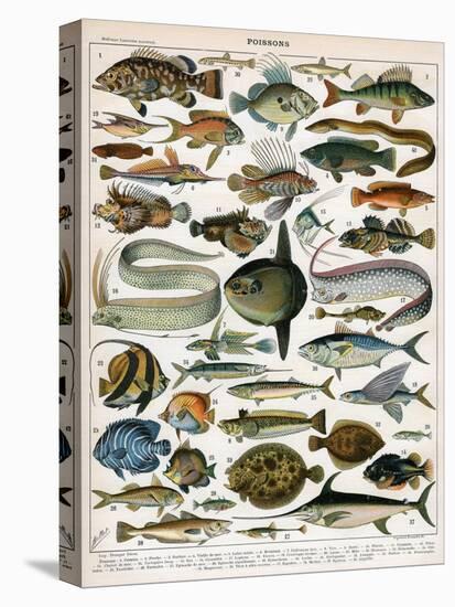 Decorative Print of 'Poissons' by Demoulin, 1897-null-Stretched Canvas