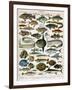 Decorative Print of 'Poissons' by Demoulin, 1897-null-Framed Giclee Print