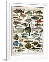 Decorative Print of 'Poissons' by Demoulin, 1897-null-Framed Giclee Print