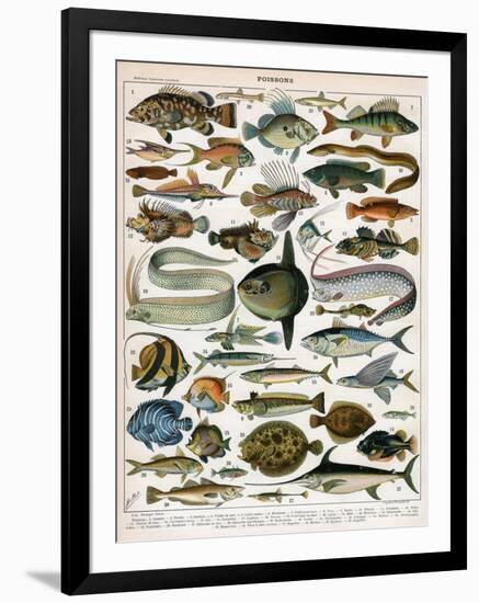 Decorative Print of 'Poissons' by Demoulin, 1897-null-Framed Giclee Print