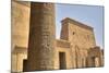 Decorative Relief on Column, from Outside the Birth House, Temple of Isis-Richard Maschmeyer-Mounted Photographic Print