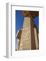 Decorative Reliefs, Hypostyle Hall, the Ramesseum (Mortuary Temple of Ramese Ii)-Richard Maschmeyer-Framed Photographic Print