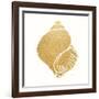 Decorative Shell I-Janet Tava-Framed Art Print