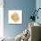 Decorative Shell I-Janet Tava-Mounted Art Print displayed on a wall