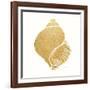 Decorative Shell I-Janet Tava-Framed Art Print