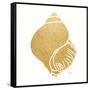 Decorative Shell I-Janet Tava-Framed Stretched Canvas