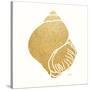 Decorative Shell I-Janet Tava-Stretched Canvas