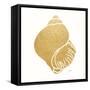 Decorative Shell I-Janet Tava-Framed Stretched Canvas