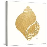 Decorative Shell I-Janet Tava-Stretched Canvas