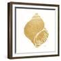 Decorative Shell I-Janet Tava-Framed Art Print