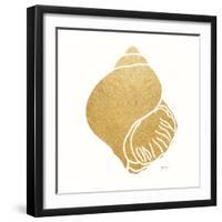 Decorative Shell I-Janet Tava-Framed Art Print