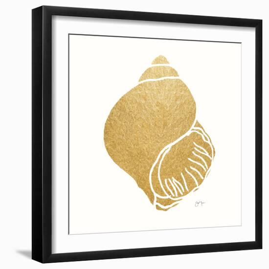 Decorative Shell I-Janet Tava-Framed Art Print