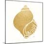 Decorative Shell I-Janet Tava-Mounted Art Print