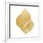 Decorative Shell I-Janet Tava-Framed Art Print