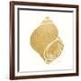 Decorative Shell I-Janet Tava-Framed Art Print