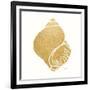 Decorative Shell I-Janet Tava-Framed Art Print