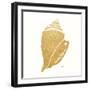 Decorative Shell II-Janet Tava-Framed Art Print