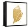 Decorative Shell II-Janet Tava-Framed Stretched Canvas